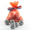 Organza zakje oranje rood wit blauw lintje maat 3