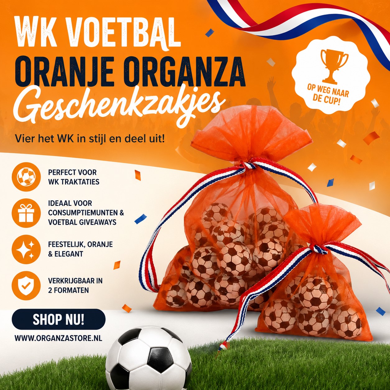 WK voetbal